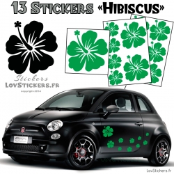 13 Stickers Hibiscus  - Deco auto voiture