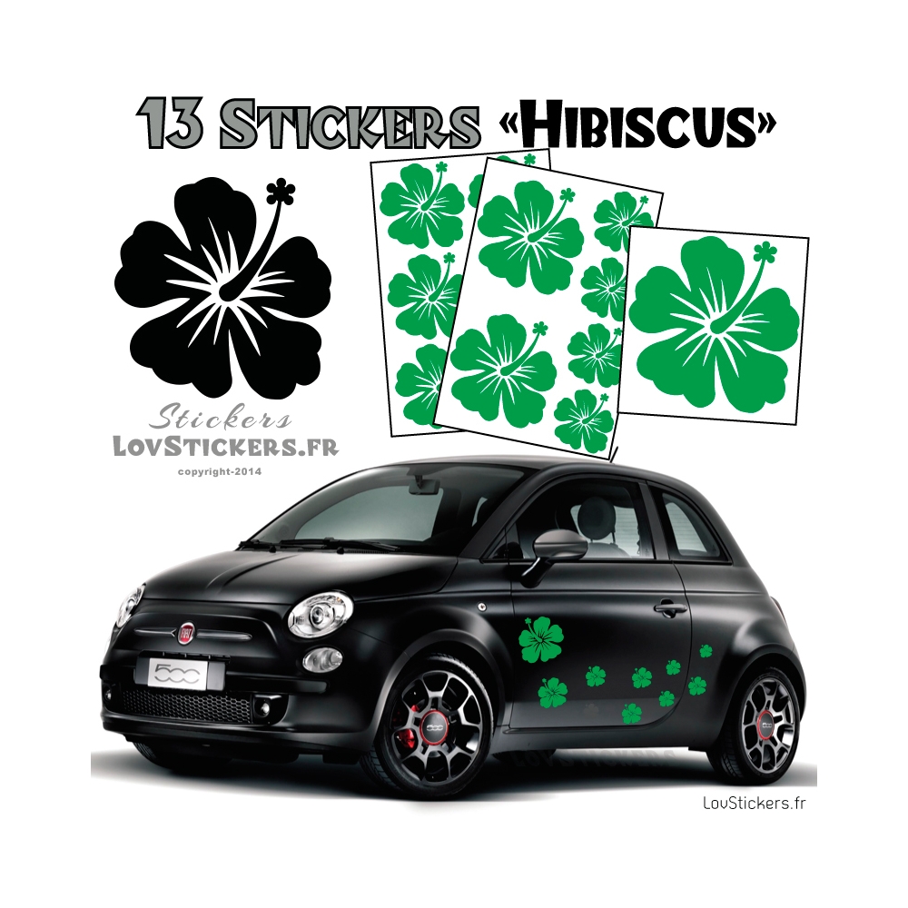 13 Stickers Hibiscus  - Deco auto voiture